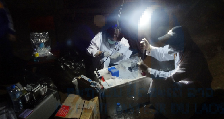 Photo: IPL staff collecting and organising samples from varicella outbreak. 