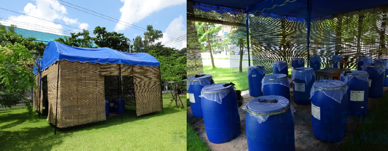 Figure 9. Semi field trial at the Pasteur Institute of Laos. Efficacy of conventional versus alternative insecticide formulations used for vector control are tested.