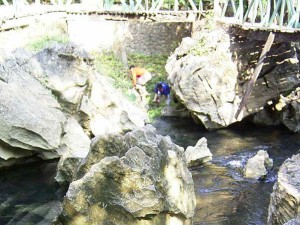 Activity Vangvieng snail survey