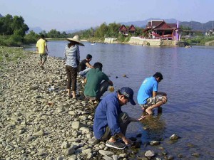 Activty Vangvieng snail survey