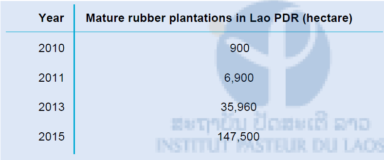 Table 1: Mature rubber plantations in Lao PDR (hectare)