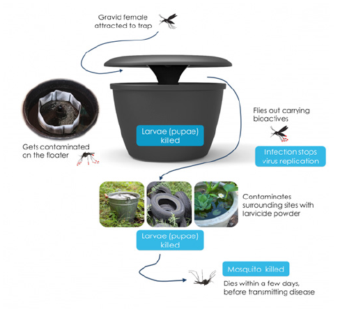 Figure 2. In2Care® mosquito trap.